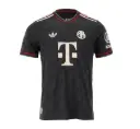 Bayern Munich Third Authentic Jersey 2025/2026